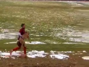 Maçı Durduran Köpeği Futbolcu Kucağına Alarak Çıkardı