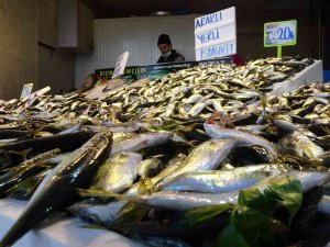 Balık Av Sezonunun Yarısına Gelindiğinde Hamsi Kayıplara Karıştı