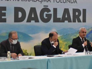 Küre Dağları Uluslararası Marka Olma Yolunda