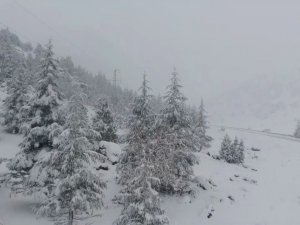 Beyaz Gelinlikli Orman Drone İle Görüntülendi