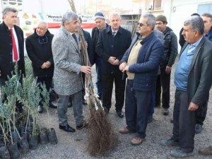 Manisalı Üreticilere Fidan Desteği Devam Ediyor