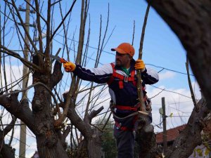Altıeylül’de Yeşil Alan Ve Parklarda Kış Hazırlığı