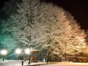 Ordu’nun İki İlçesinde Eğitime Kar Engeli