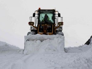 Van’da 611 Yerleşim Yerinin Yolu Ulaşıma Kapandı