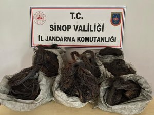 Sinop’ta Kablo Hırsızlığı Operasyonu: 3 Gözaltı