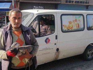 Yaralı Kuşa Belediye Ekipleri Sahip Çıktı