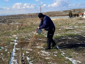 Sungurlu’da Sokak Hayvanları Unutulmadı