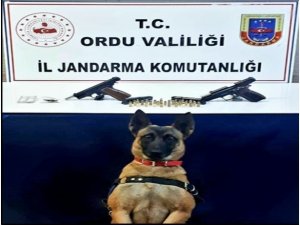 Jandarma Ekiplerinden Uyuşturucu Operasyonu: 2 Gözaltı
