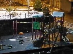 Yaralı Ve Aç Tilki Parkta Yiyecek Aradı