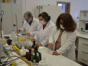 Kanamaları Erken Durduran Formül Bulundu