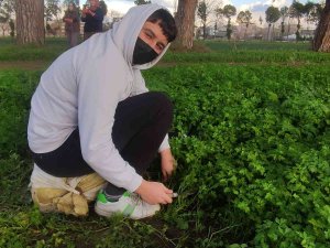 Derslerini Tarlada Yapıp Üstüne Para Kazanıyorlar