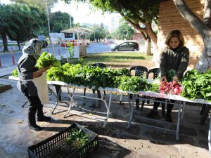 Profesör De İş İnsanı Da Doktor Da Pazarda Sebze Satıyor