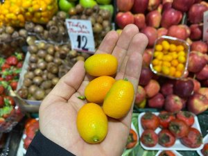 C Vitamini Deposu Kamkat Tezgahlarda