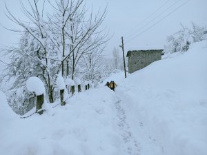 Sağlık Ekipleri Seferber Oldu, Koah Hastasına Üç Saat Sonra Ulaşıldı
