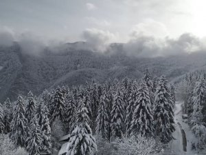 Kafkasör Yaylası Beyaza Büründü, Muhteşem Manzara Havadan Görüntülendi