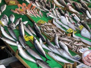 Kar Yağdı, Balık Fiyatlarının Düşmesi Bekleniyor