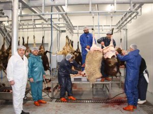 Oltu Cağ Kebap Fabrikası Deneme Üretimine Başladı