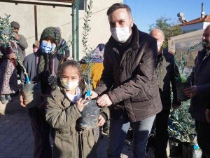 İ̇zmit’in Dönüştürülen Atıkları, Milas’ta Zeytin Fidanı Olarak Toprakla Buluştu