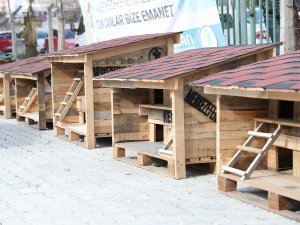 Pet Kafe Ve Mama Üretim Tesisi Türkiye’ye Örnek Oldu