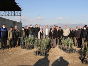 Manisa Büyükşehir Belediyesinden Üreticilere 100 Bin Fidan Desteği