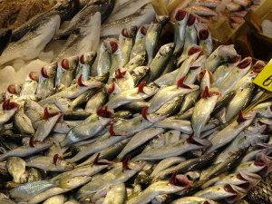 Kar Yağdı, Fiyatı 65 Liraya Geriledi