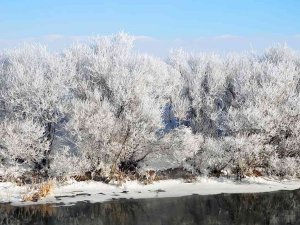 Göle Buz Kesti: - 30