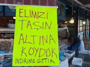 Döviz Kuru Düşünce Fiyatları Düşürdü