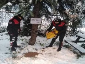 Emniyet Ekipleri Sokak Hayvanlarını Unutmadı