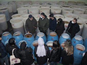 Burhaniye’de Üniversiteli Gençlerden Zeytinyağı Fabrikasına Teknik Gezi