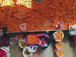 Depolardaki Havuç, Eksi 15 Derecede Sevkiyata Hazırlanıyor