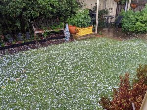 Avustralya’yı Dolu Yağışı Vurdu