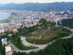 Rize'de Çay Vadisi ve Adası Kurulacak