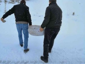 Karabük’te Yaban Hayvanları İçin Yemleme Çalışması Yapıldı