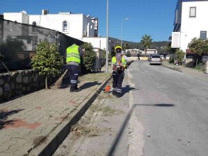 Bodrum’da Geniş Kapsamlı Temizlik Çalışmaları Devam Ediyor