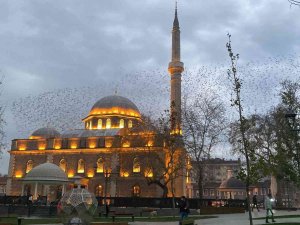 Tarihi Cami Üzerinde Sığırcıkların Görsel Şöleni