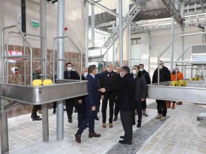 Kars’ta Modern Besi Çiftliği Ve Kesimhane Tamamlanıyor