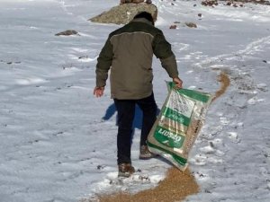 Yaban Hayvanları İçin Doğaya Yem Bırakıldı