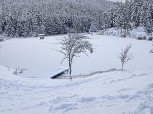 Akgöl Buz Tuttu, Kartpostallık Görüntüler Oluştu