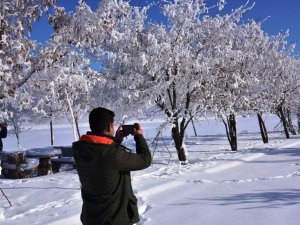 Bitlis’te Dondurucu Soğuk