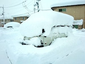 Japonya’da Şiddetli Kar Yağışı Hayatı Olumsuz Etkiledi