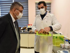 Paü Rektörü Kutluhan, Düzce Üniversitesi’nde Temaslarda Bulundu