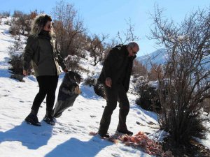 Şırnak’ta Yaban Hayvanları İçin Yem Bırakıldı