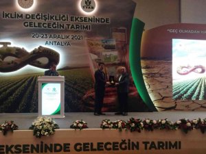 Eskişehir, ’Şeker Pancarı Ve İ̇talyan Çimi’ Ekiminde Türkiye 1’inci Sırada