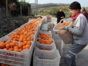 Üreticiler İndirim Bekliyor