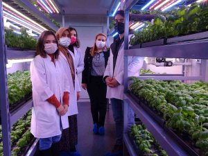 Konteynerde Tarım Dönemi