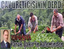 Çay üreticisinin derdi