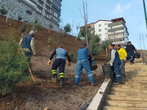 Keçiören’de Ağaçlandırma Seferberliği