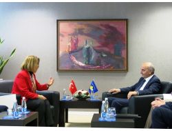 Başbakan Davutoğlu’nun Tebrik Mesajı, Kosova’nın Yeni Başbakanına Takdim Edildi