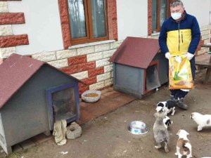 Fatsa Belediyesi Can Dostların Yanında