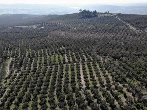 En Güvenilir Yatırım Toprak